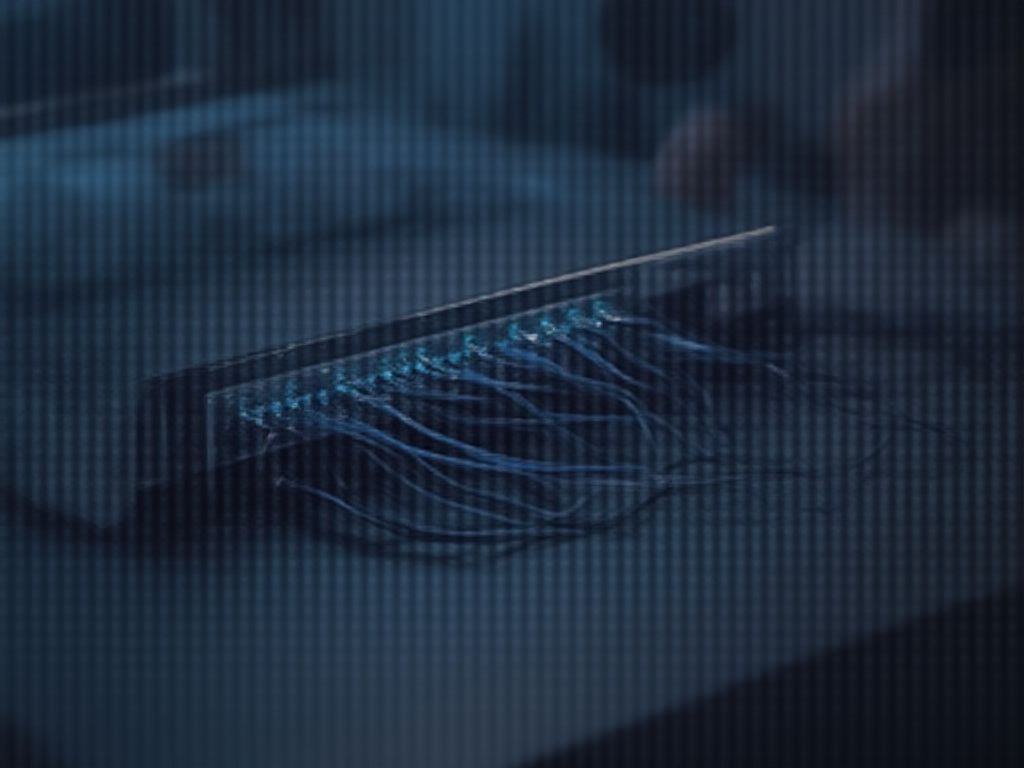 15-cable-management-ideas-for-